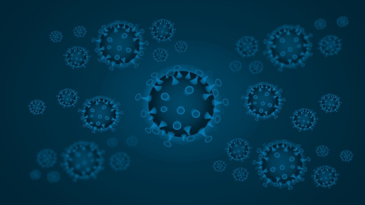 Il n'existe pas encore de traitement spécifique contre ce nouveau coronavirus. // Source : Pixabay Il n'existe pas encore de traitement spécifique contre ce nouveau coronavirus. // Source : Pixabay