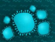 Illustration du coronavirus. // Source : Numerama / Claire Braikeh