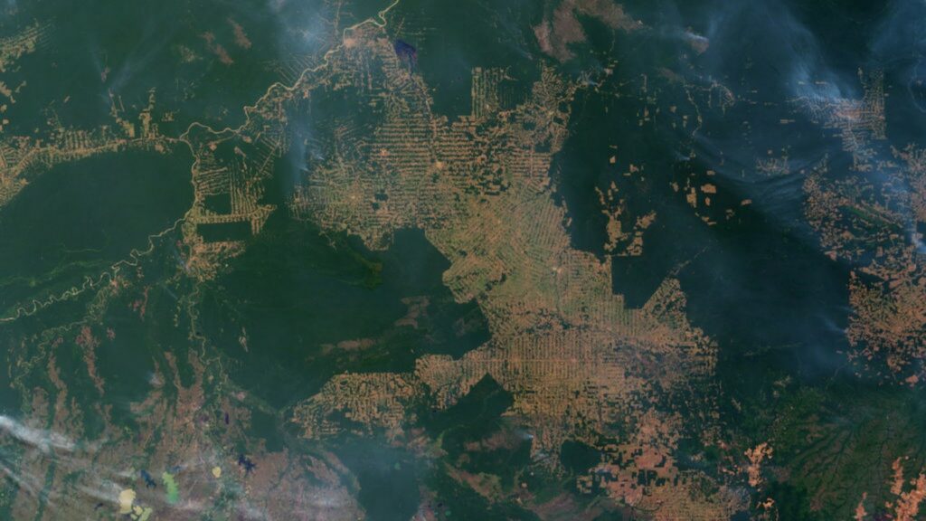 En vert, les zones boisées, et en marron, les zones déforestées. // Source : Image satellite de la Nasa En vert, les zones boisées, et en marron, les zones déforestées. // Source : Image satellite de la Nasa