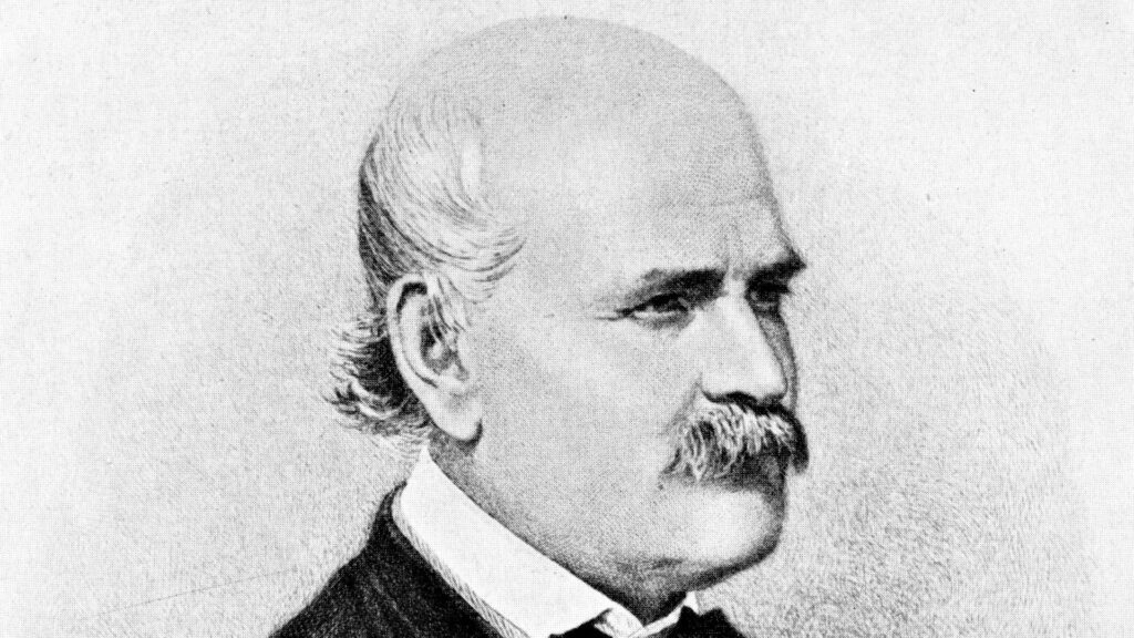 Ignace Semmelweis. // Source : Eugen Doby (image recadrée) Ignace Semmelweis. // Source : Eugen Doby (image recadrée)