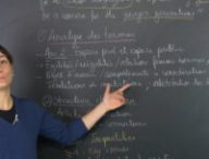 Les Bons Profs 