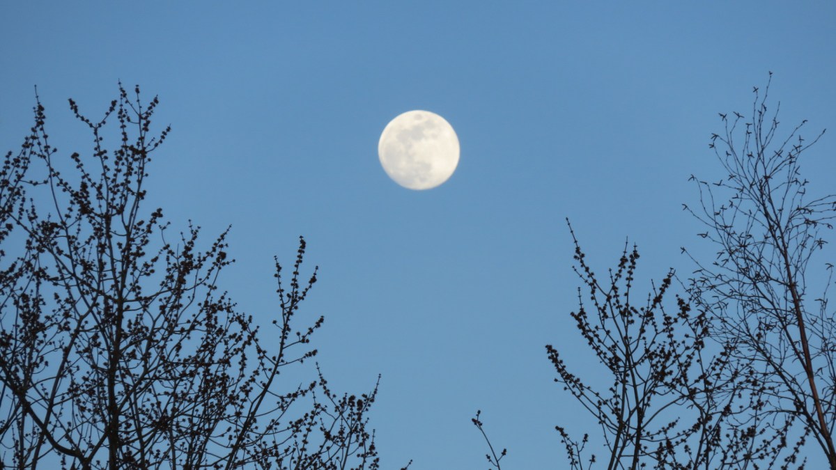 La Lune. // Source : Flickr/CC/Kaarina Dillabough (photo recadrée) La Lune. // Source : Flickr/CC/Kaarina Dillabough (photo recadrée)
