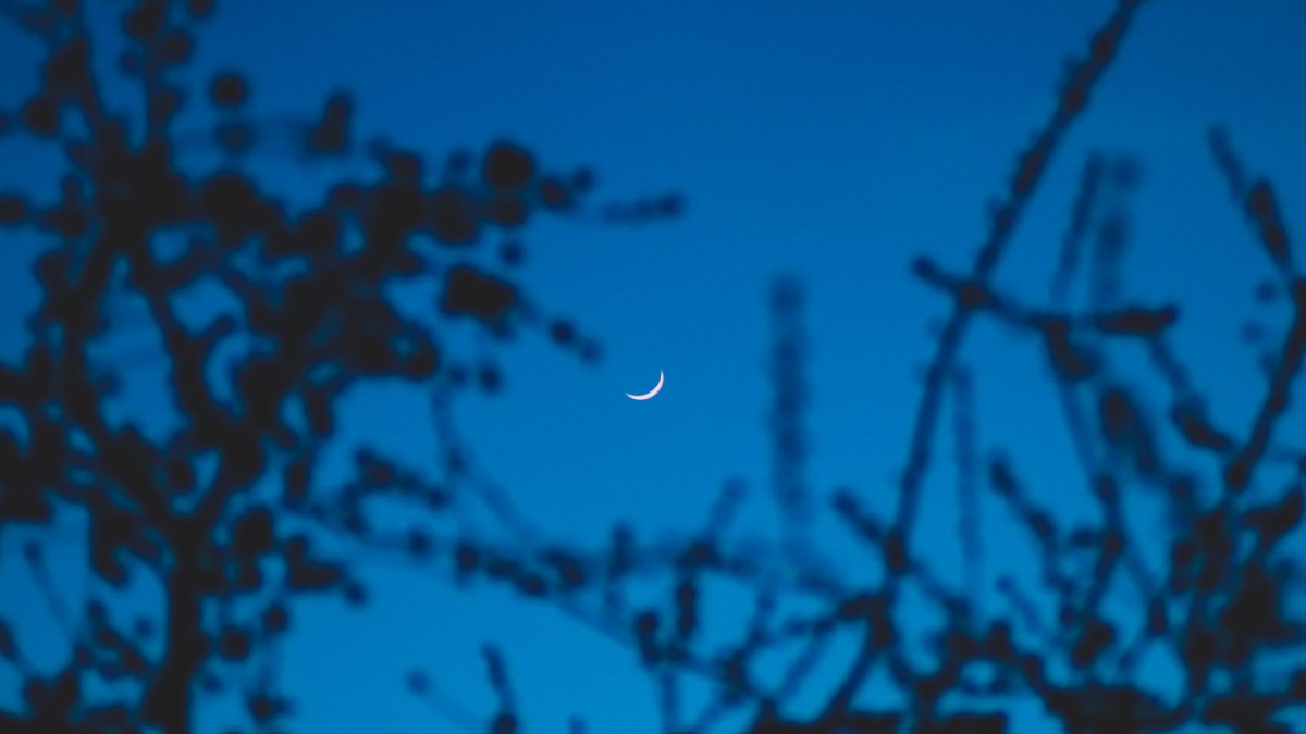 Un croissant de Lune. // Source : Pexels (photo recadrée) Un croissant de Lune. // Source : Pexels (photo recadrée)