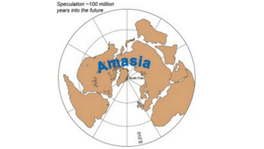 Voici à quoi ressemblerait l'Amasie. // Source : Nature / Mitchell & al. Voici à quoi ressemblerait l'Amasie. // Source : Nature / Mitchell & al.