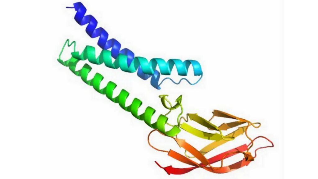 Voici à quoi ressemble la modélisation de la structure des protéines du coronavirus par AlphaFold. // Source : AlphaFold / DeepMind Voici à quoi ressemble la modélisation de la structure des protéines du coronavirus par AlphaFold. // Source : AlphaFold / DeepMind