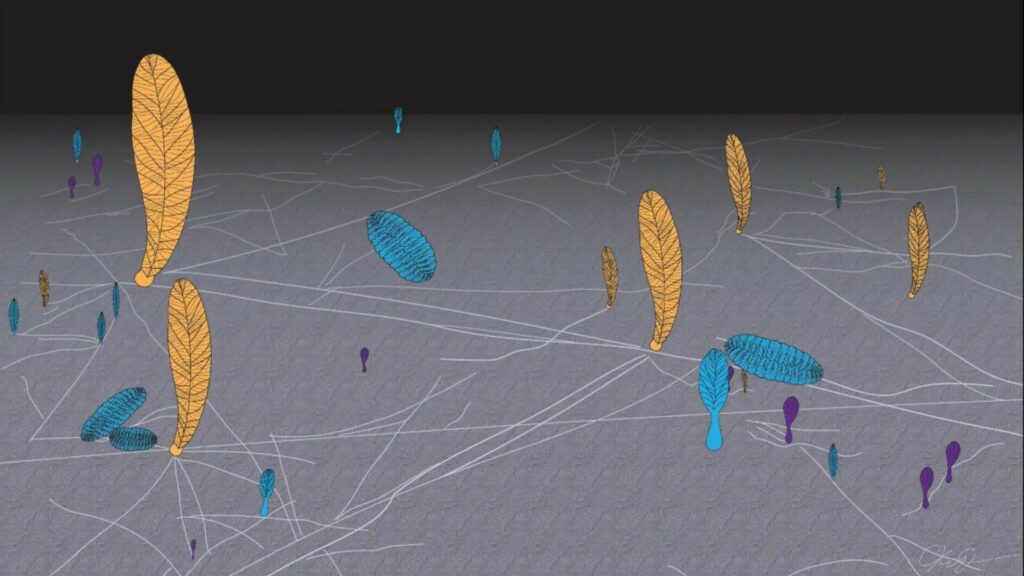 Représentation graphique du réseau de filaments qui reliait ces rangeomorphes. // Source : Current Biology / Université de Cambridge Représentation graphique du réseau de filaments qui reliait ces rangeomorphes. // Source : Current Biology / Université de Cambridge