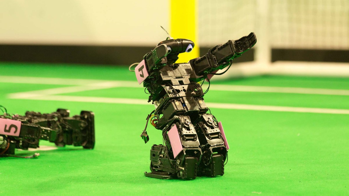 Goooaaaal ! // Source : RoboCup2013 Goooaaaal ! // Source : RoboCup2013