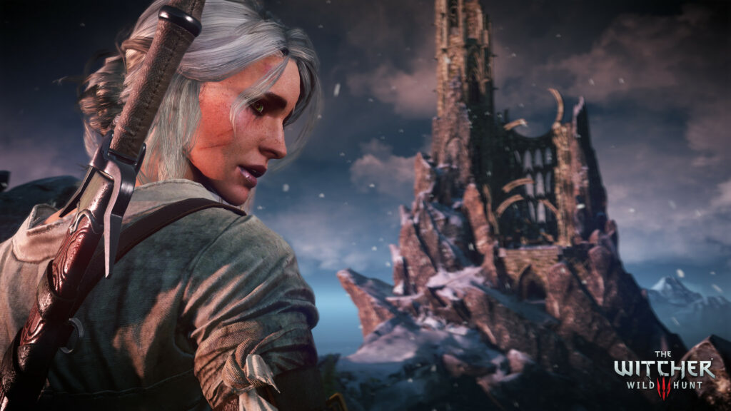 The Witcher 3: Wild Hunt // Source : CD Projekt Red The Witcher 3: Wild Hunt // Source : CD Projekt Red