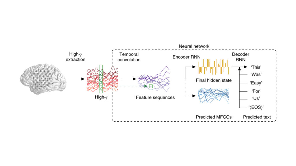 Le fonctionnement de ce traducteur. // Source : Nature Neurosciences Le fonctionnement de ce traducteur. // Source : Nature Neurosciences