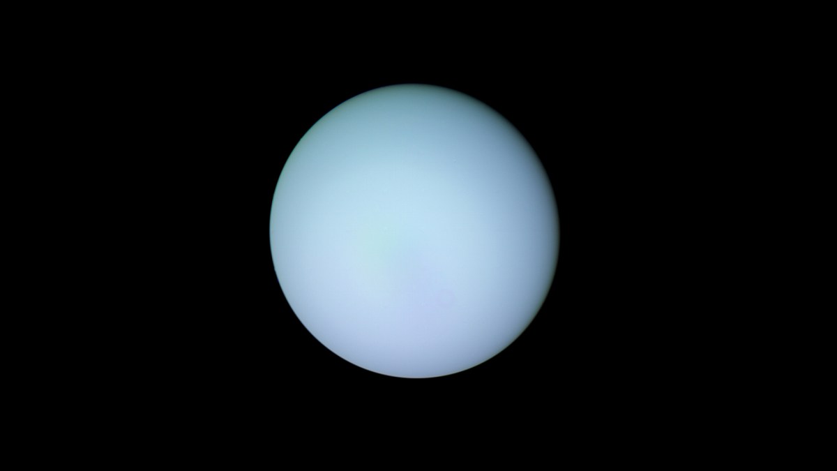 Uranus photographiée en 1986. // Source : Flickr/CC/Kevin Gill (photo recadrée) Uranus photographiée en 1986. // Source : Flickr/CC/Kevin Gill (photo recadrée)