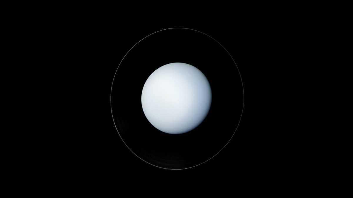 Vue d'artiste d'Uranus à partir des images de Voyager 2 le 22 janvier 1986. // Source : Flickr/CC/NASA/JPL-Caltech/Kevin M. Gill (photo recardée et modifiée) Vue d'artiste d'Uranus à partir des images de Voyager 2 le 22 janvier 1986. // Source : Flickr/CC/NASA/JPL-Caltech/Kevin M. Gill (photo recardée et modifiée)