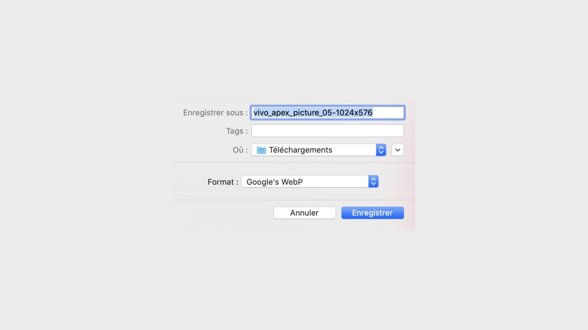 WebP forcé // Source : Capture d'écran Numerama WebP forcé // Source : Capture d'écran Numerama