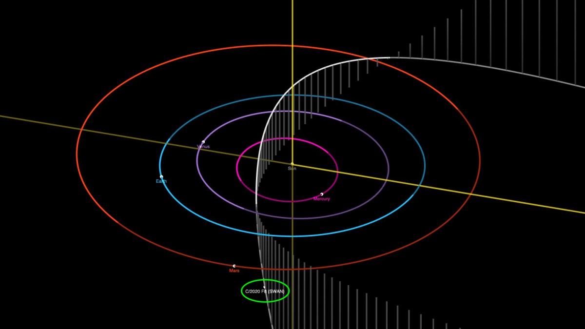 L'orbite de C/2020 F8 (SWAN) dans le système solaire. // Source : Capture d'écran JPL Small-Body Database Center, annotation Numerama L'orbite de C/2020 F8 (SWAN) dans le système solaire. // Source : Capture d'écran JPL Small-Body Database Center, annotation Numerama