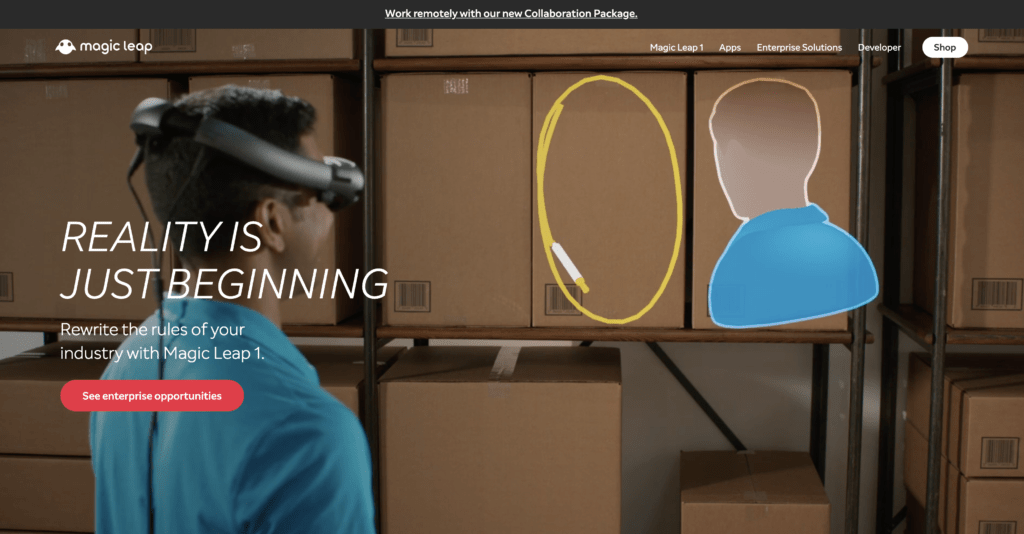 Où est passée la baleine ? // Source : Capture d'écran Magic Leap