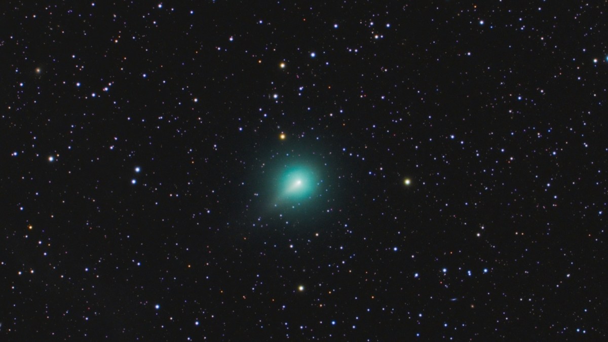 La comète C/2019 Y4 (ATLAS). // Source : Flickr/CC/Dominique Dierick (photo recadrée) La comète C/2019 Y4 (ATLAS). // Source : Flickr/CC/Dominique Dierick (photo recadrée)