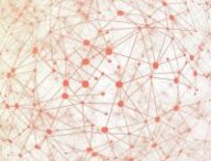 mesh réseau contact connexion liaison // Source : Pixabay