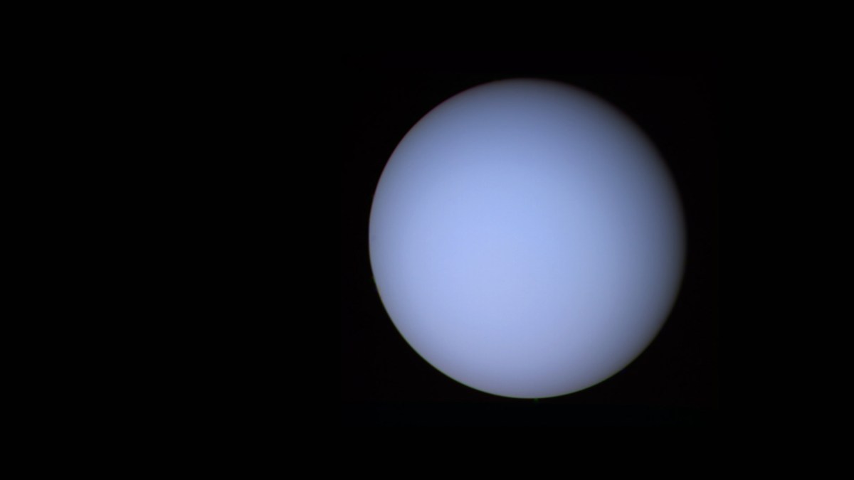 Uranus photographiée par Voyager 2. // Source : Wikimedia/CC/NASA (photo recadrée et modifiée) Uranus photographiée par Voyager 2. // Source : Wikimedia/CC/NASA (photo recadrée et modifiée)