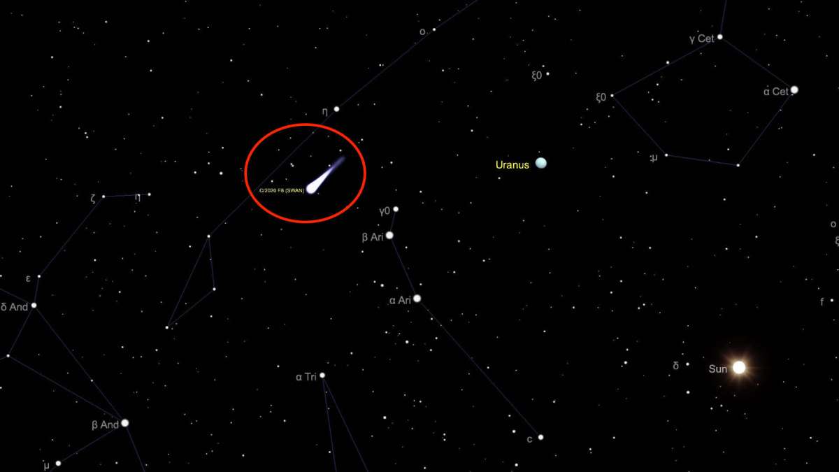 Position de la comète Swan le 13 mai 2020. // Source : Capture d'écran The Sky Live, annotations Numerama Position de la comète Swan le 13 mai 2020. // Source : Capture d'écran The Sky Live, annotations Numerama