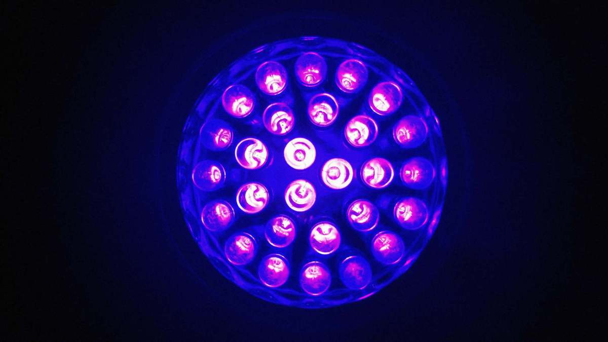 Ultraviolets émis par une lampe. // Source : Flickr/CC/trentv11182 Ultraviolets émis par une lampe. // Source : Flickr/CC/trentv11182