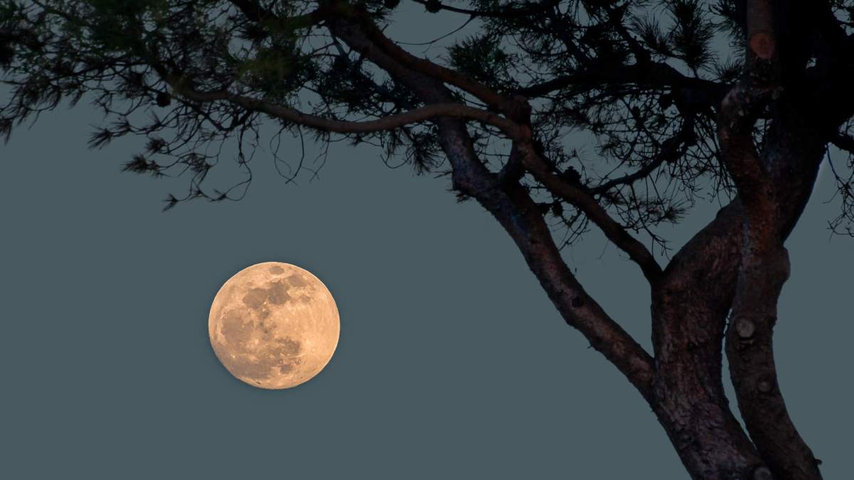 La pleine lune. // Source : Flickr/CC/Bernd Thaller (photo recadrée) La pleine lune. // Source : Flickr/CC/Bernd Thaller (photo recadrée)