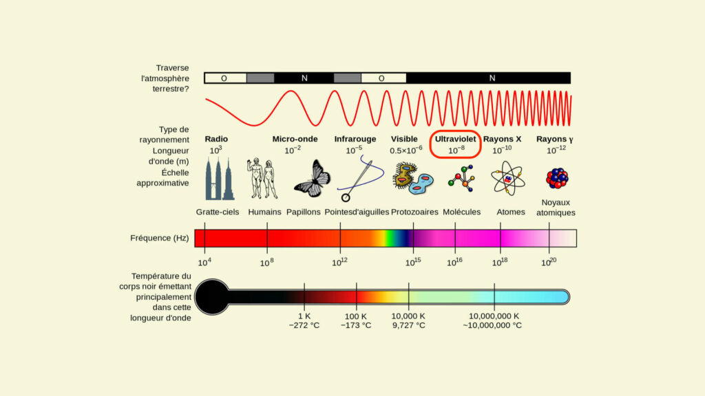 Diagramme du spectre électromagnétique, dont le rayonnement ultraviolet. // Source : Wikimedia/CC/Inductiveload, NASA/Berru, annotation Numerama Diagramme du spectre électromagnétique, dont le rayonnement ultraviolet. // Source : Wikimedia/CC/Inductiveload, NASA/Berru, annotation Numerama
