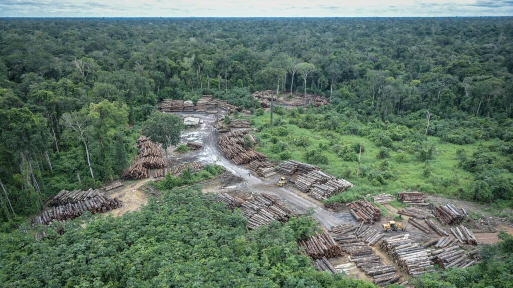 La déforestation génère un dérèglement de l'écosystème local. // Source : Ibama / Wikimedia La déforestation génère un dérèglement de l'écosystème local. // Source : Ibama / Wikimedia