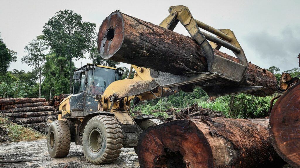 La déforestation en Amazonie a bondi de 53 % sur la période octobre 2019 / avril 2020. // Source : Ibama / Wikimedia La déforestation en Amazonie a bondi de 53 % sur la période octobre 2019 / avril 2020. // Source : Ibama / Wikimedia