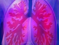 Covid-19 est une pneumonie : elle s'attaque essentiellement aux poumons dans un premier temps. // Source : Pixabay