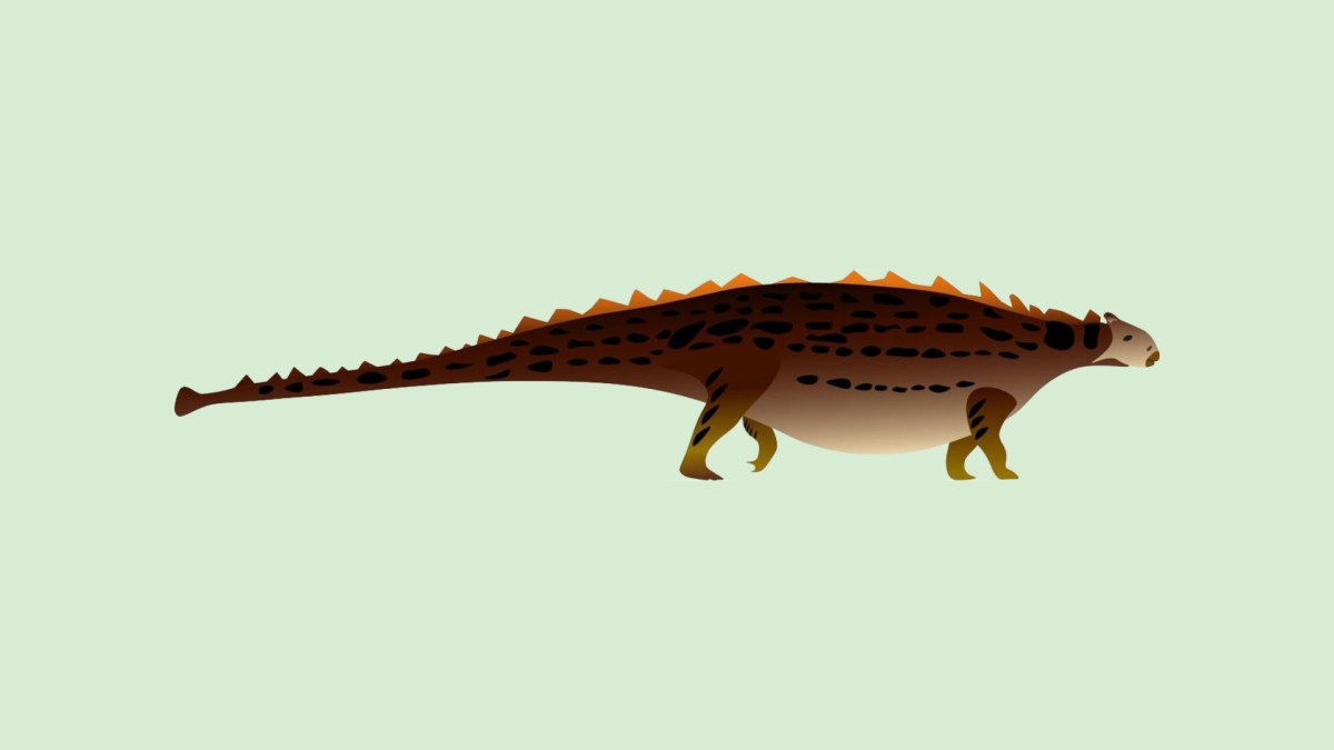 Illustration du dinosaure Bissektipelta archibaldi. // Source : St Petersburg University Illustration du dinosaure Bissektipelta archibaldi. // Source : St Petersburg University