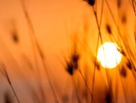 L'été tombe le 21 juin en 2021. // Source : Pexels/Darwis Alwan (photo recadrée) L'été tombe le 21 juin en 2021. // Source : Pexels/Darwis Alwan (photo recadrée)