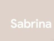 Box TV Google Sabrina // Source : XDA Developers