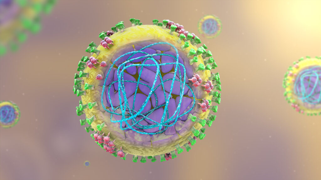 Le virus G4 est hérité du virus H1N1. Il n'est pas encore dangereux mais, selon ces chercheurs, doit être surveillé afin qu'il ne le devienne pas. // Source : Wikimedia/Manu5 Le virus G4 est hérité du virus H1N1. Il n'est pas encore dangereux mais, selon ces chercheurs, doit être surveillé afin qu'il ne le devienne pas. // Source : Wikimedia/Manu5
