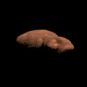 Visualisation en 3D d'Arrokoth. // Source : Via Twitter @_RomanTkachenko, Nasa/JHUAPL/SwRI/Roman Tkachenko Visualisation en 3D d'Arrokoth. // Source : Via Twitter @_RomanTkachenko, Nasa/JHUAPL/SwRI/Roman Tkachenko