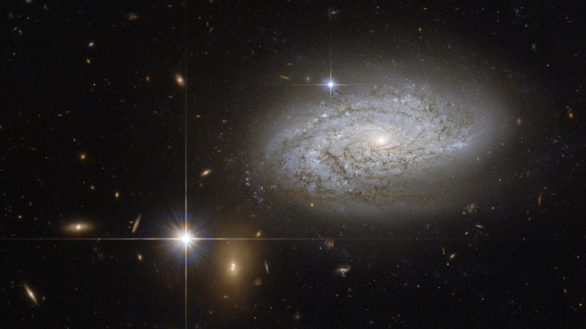 La galaxie NGC 3021 contient des céphéides, utiles pour estimer des mesures de distance. // Source : NASA & ESA (photo recadrée) La galaxie NGC 3021 contient des céphéides, utiles pour estimer des mesures de distance. // Source : NASA & ESA (photo recadrée)