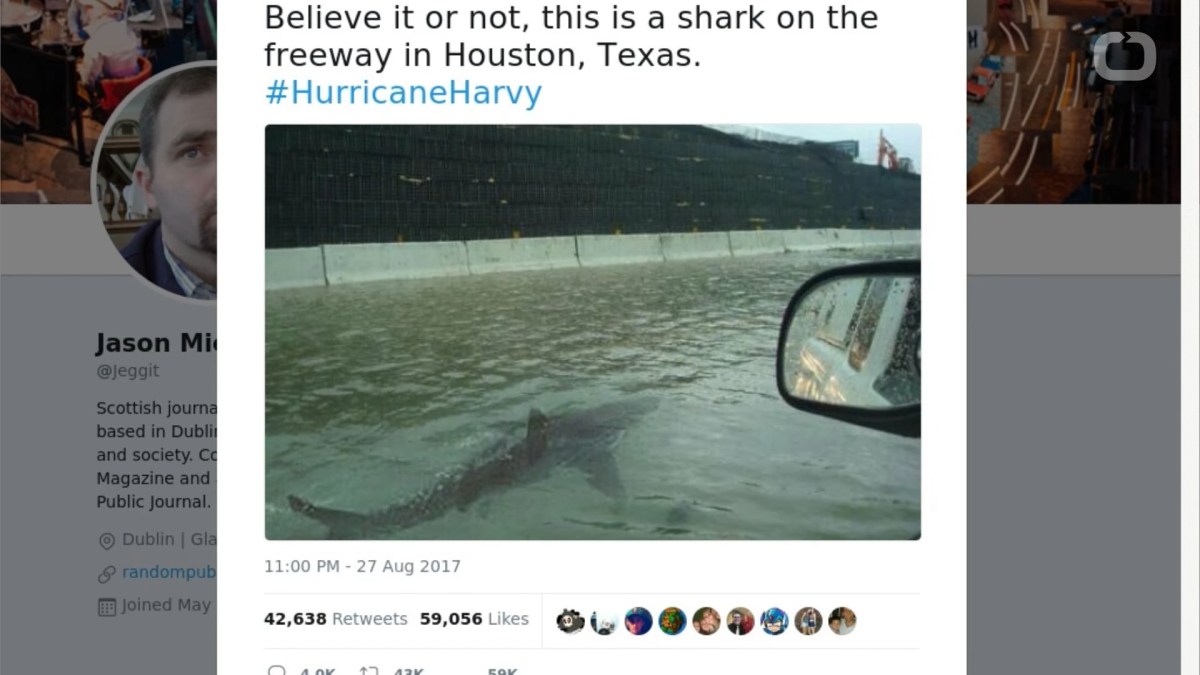 Wochit News Wochit News