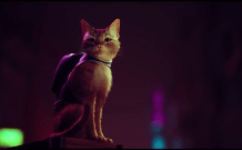 "Stray" "Stray"