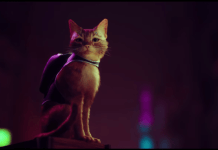 "Stray" "Stray"