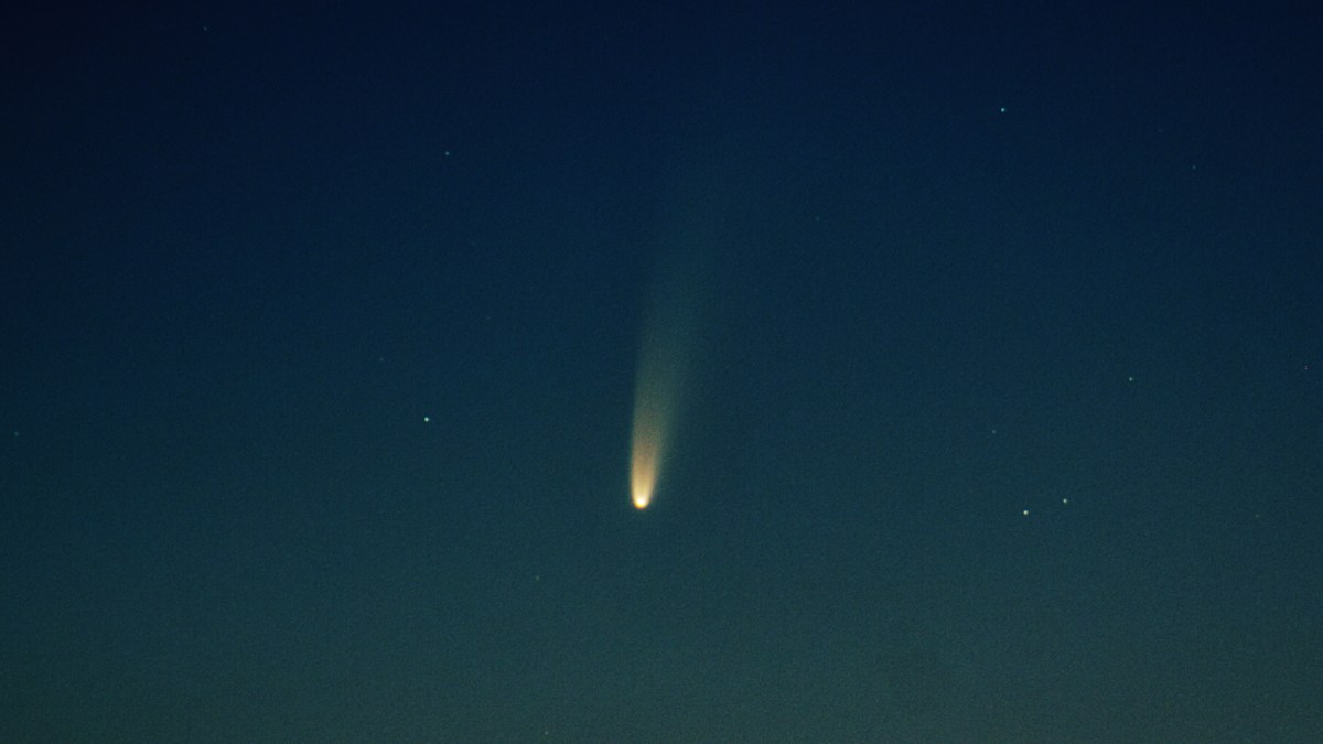 La comète C/2020 F3 NEOWISE. // Source : Flickr/CC/Hypatia Alexandria (photo recadrée) La comète C/2020 F3 NEOWISE. // Source : Flickr/CC/Hypatia Alexandria (photo recadrée)