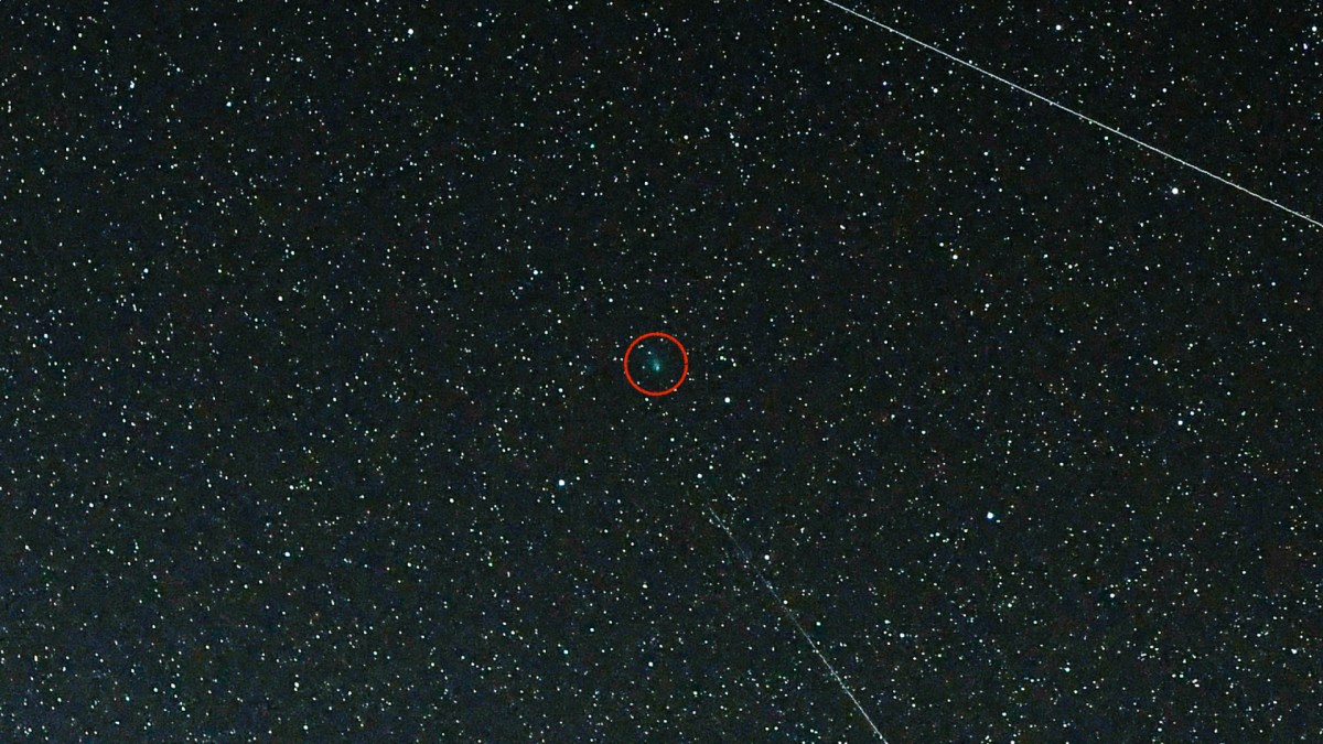 La comète C/2019 Y4 (ATLAS). // Source : Flickr/CC/Jürgen Mangelsdorf (photo recadrée et modifiée) La comète C/2019 Y4 (ATLAS). // Source : Flickr/CC/Jürgen Mangelsdorf (photo recadrée et modifiée)