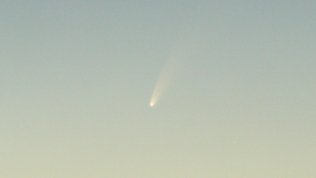 La comète C/2020 F3 (NEOWISE). // Source : Flickr/CC/Petr Hykš (photo recadrée) La comète C/2020 F3 (NEOWISE). // Source : Flickr/CC/Petr Hykš (photo recadrée)