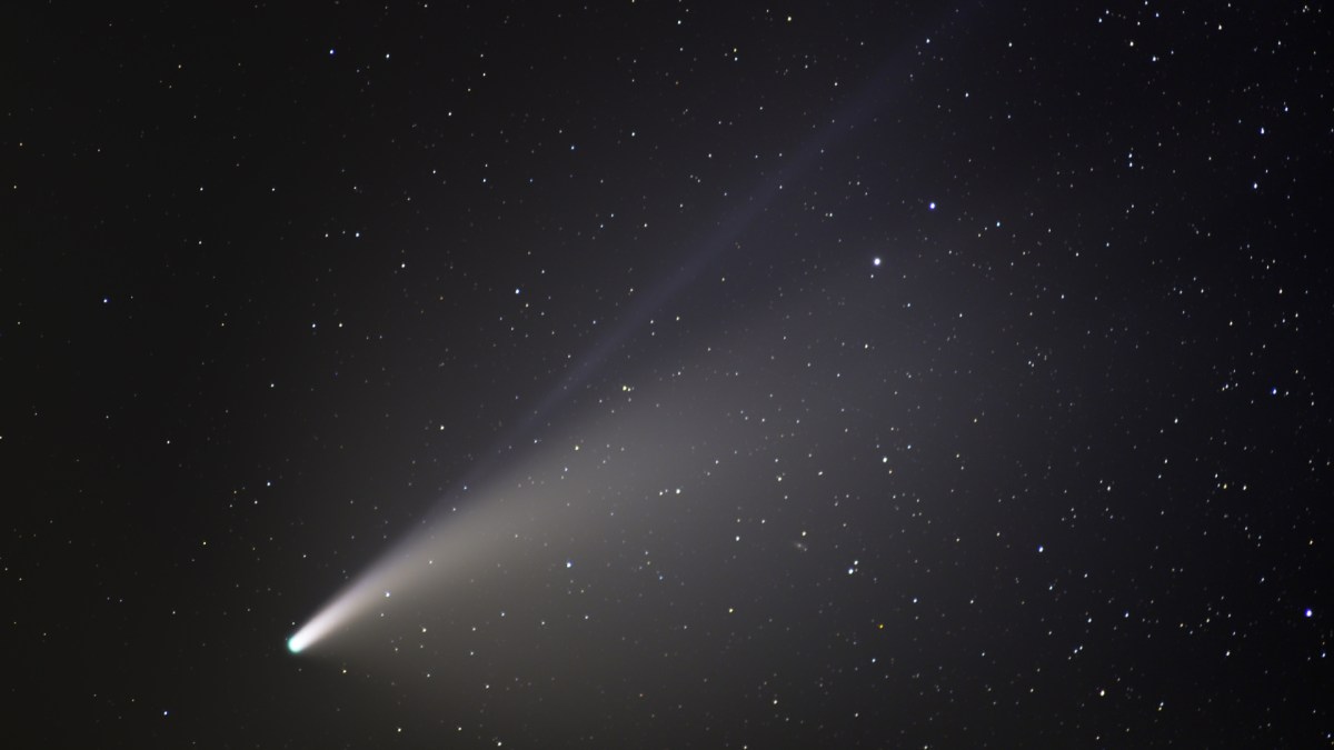 La comète C/2020 F3 (NEOWISE). // Source : Flickr/CC/Niccolò Ubalducci (photo recadrée) La comète C/2020 F3 (NEOWISE). // Source : Flickr/CC/Niccolò Ubalducci (photo recadrée)