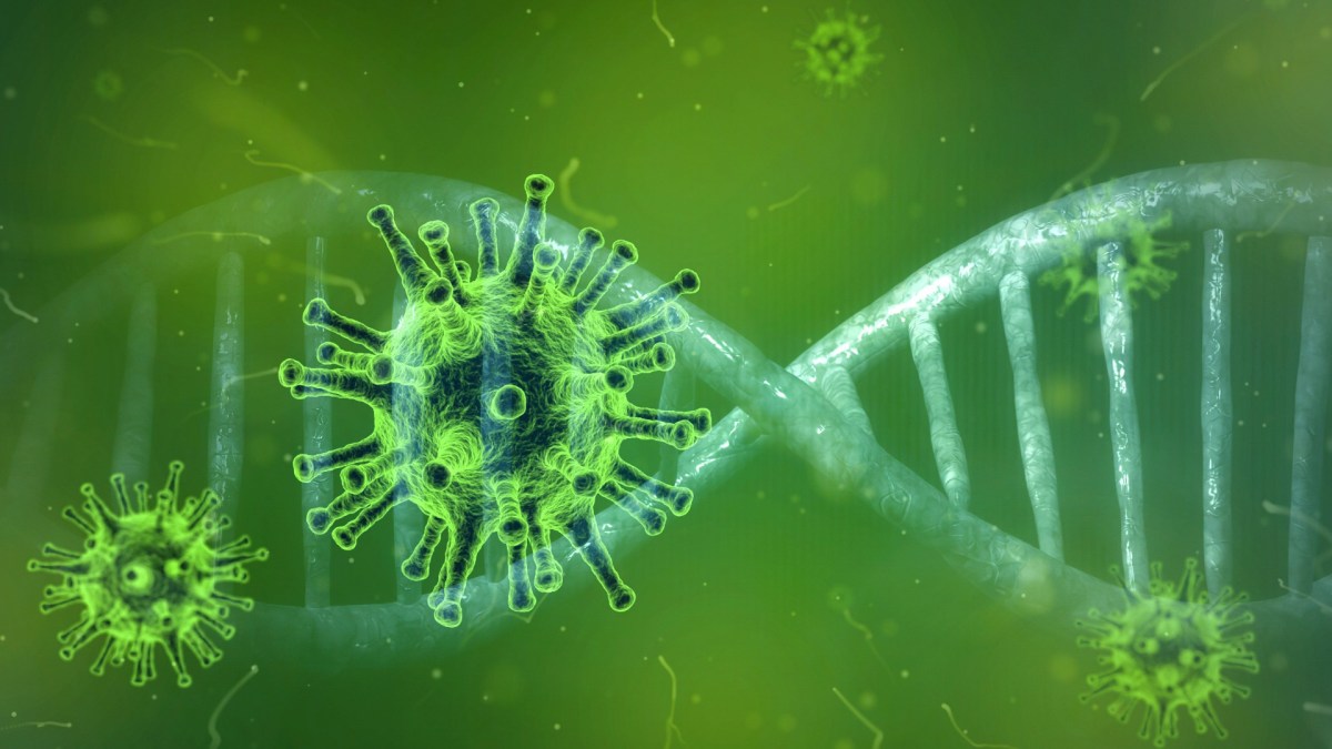 Représentation du coronavirus et de l'ADN. // Source : Pixabay (photo recadrée) Représentation du coronavirus et de l'ADN. // Source : Pixabay (photo recadrée)