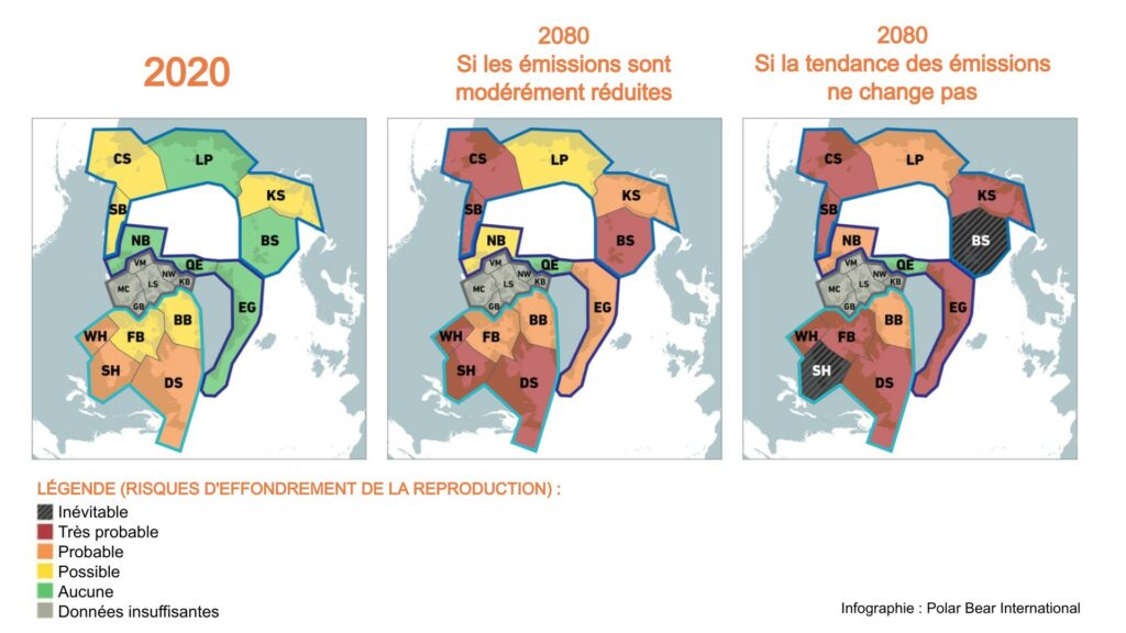 Infographie des deux évolutions possibles des ours polaires d'ici 2100. // Source : Infographie Polar Bear International / Traduction Numerama Infographie des deux évolutions possibles des ours polaires d'ici 2100. // Source : Infographie Polar Bear International / Traduction Numerama