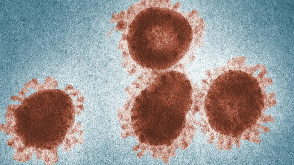 Le vaccin est conçu à partir d'un coronavirus de chimpanzé modifié avec une protéine du coronavirus SARS-CoV-2. // Source : Pexels Le vaccin est conçu à partir d'un coronavirus de chimpanzé modifié avec une protéine du coronavirus SARS-CoV-2. // Source : Pexels