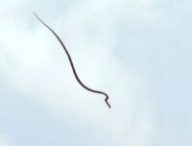 Nature Physics