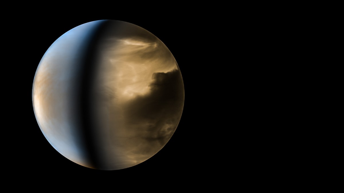 Vénus en 2016. // Source : Flickr/Kevin Gill (photo recadrée et modifiée) Vénus en 2016. // Source : Flickr/Kevin Gill (photo recadrée et modifiée)