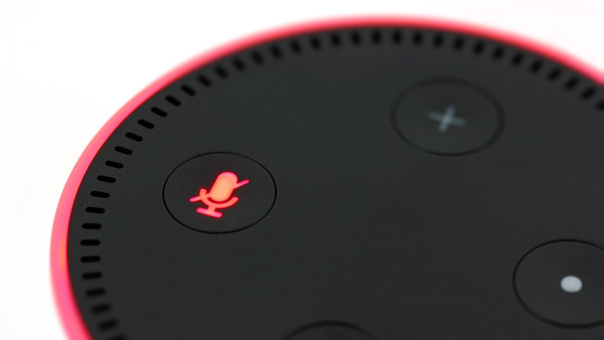 L'assistant Alexa est une porte d'entrée rêvée pour les pirates. // Source : HeikoAL/Pixabay L'assistant Alexa est une porte d'entrée rêvée pour les pirates. // Source : HeikoAL/Pixabay