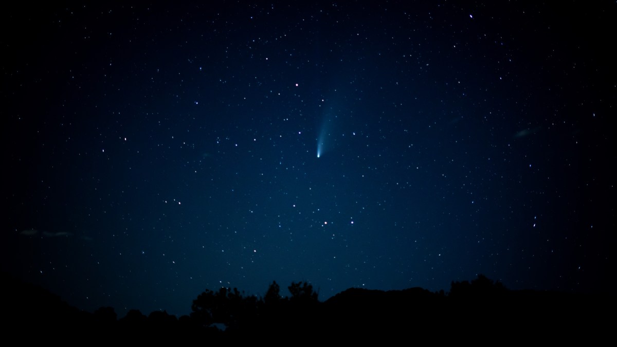La comète C/2020 F3 (NEOWISE). // Source : Flickr/CC/Fabrizio Corda (photo recadrée) La comète C/2020 F3 (NEOWISE). // Source : Flickr/CC/Fabrizio Corda (photo recadrée)