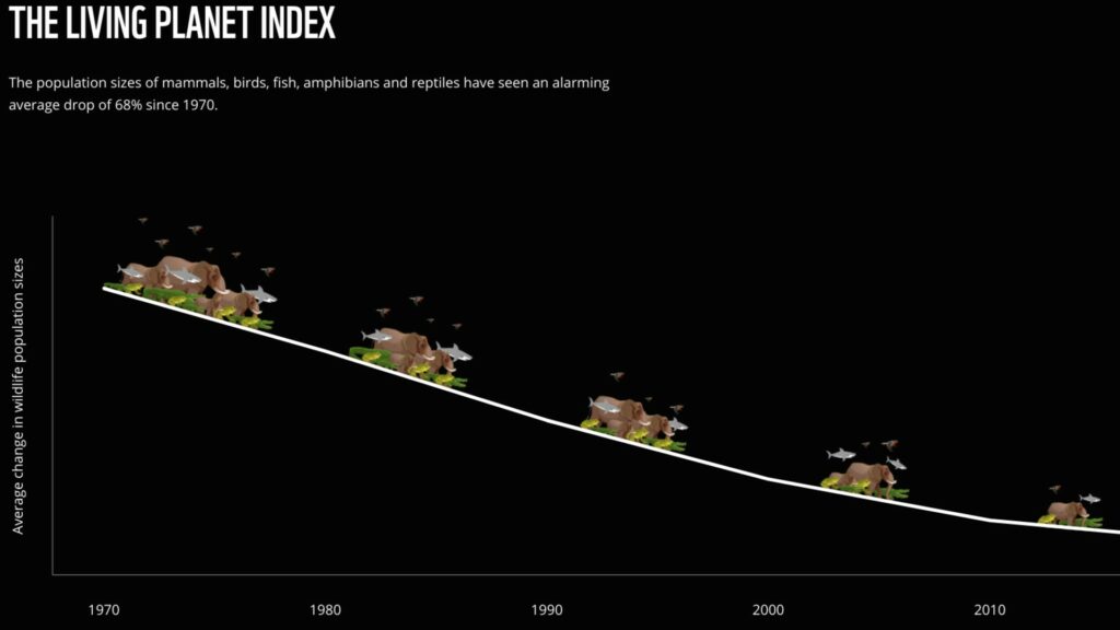 Les populations de mammifères, d'oiseaux, de poissons, d'amphibiens et de reptiles sont toutes en déclin depuis 1970. // Source : WWF Les populations de mammifères, d'oiseaux, de poissons, d'amphibiens et de reptiles sont toutes en déclin depuis 1970. // Source : WWF