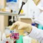 Des tests en laboratoire. // Source : Pexels/Polina Tankilevitch (photo recadrée) Des tests en laboratoire. // Source : Pexels/Polina Tankilevitch (photo recadrée)